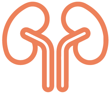icon-kidneys